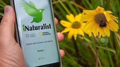 Reems Creek Nursery - iNaturalist Tutorial with Bryan Tompkins #gardening #inaturalist