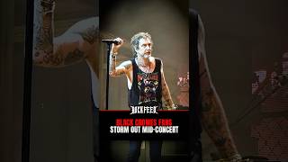 Black Crowes Fans Storm Out Midconcert