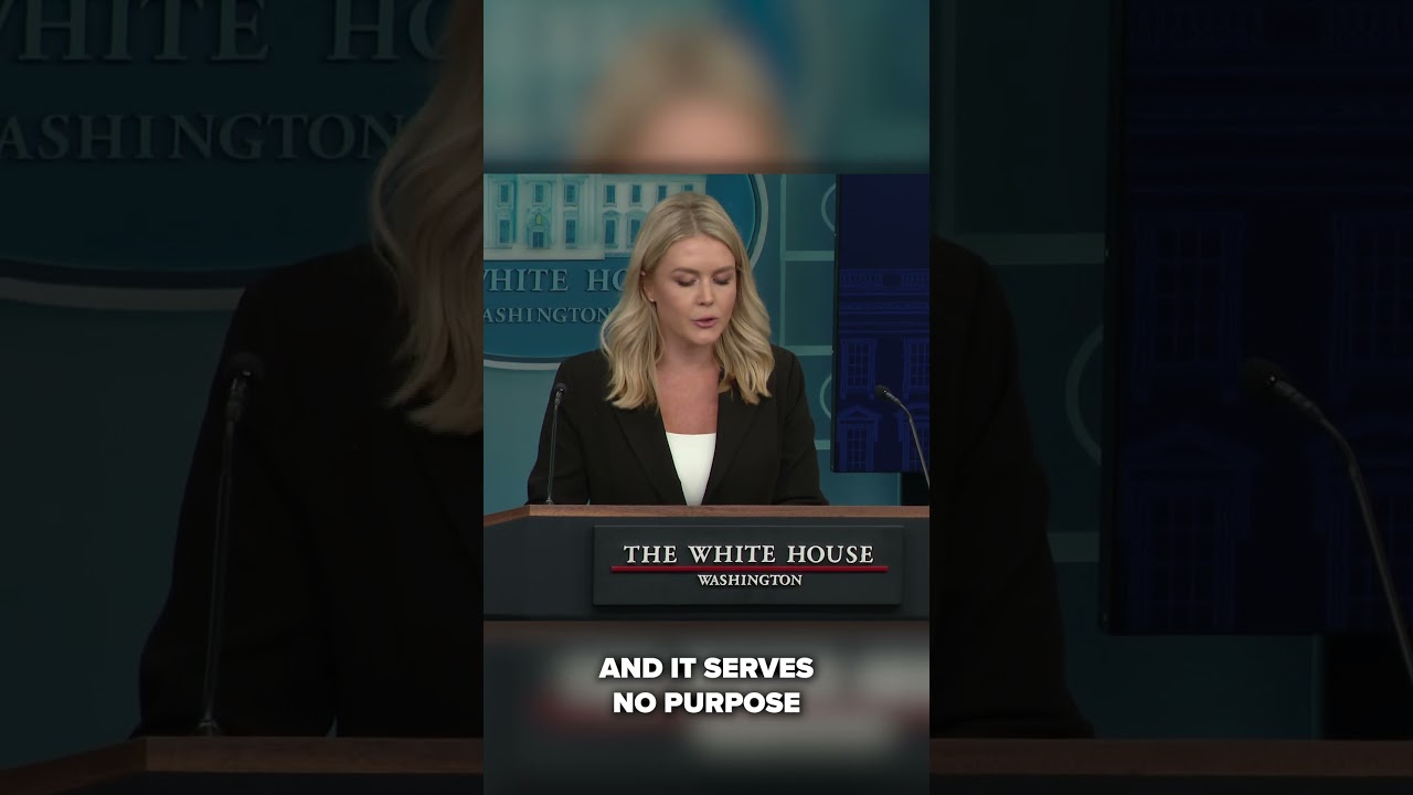 Blaming Trump for deadly Texas floods is 'a depraved lie,' Leavitt says