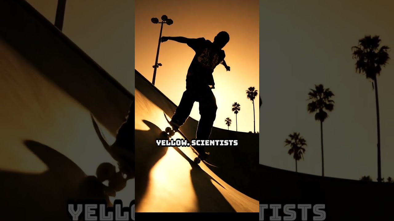 The hidden logic of our reality. 