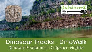 Dinosaur Footprints in Culpeper, VA 🦖 Open for Limited Viewing Once a Year