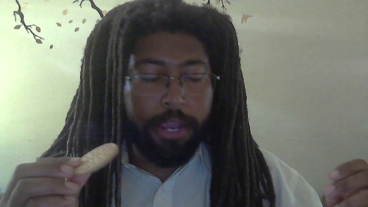 Goya Maria Cookies Review