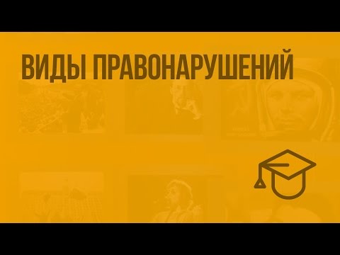 Виды правонарушений. Видеоурок по обществознанию 9 класс