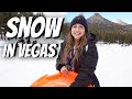 SNOW in LAS VEGAS! Best Things To Do in Mount Charleston