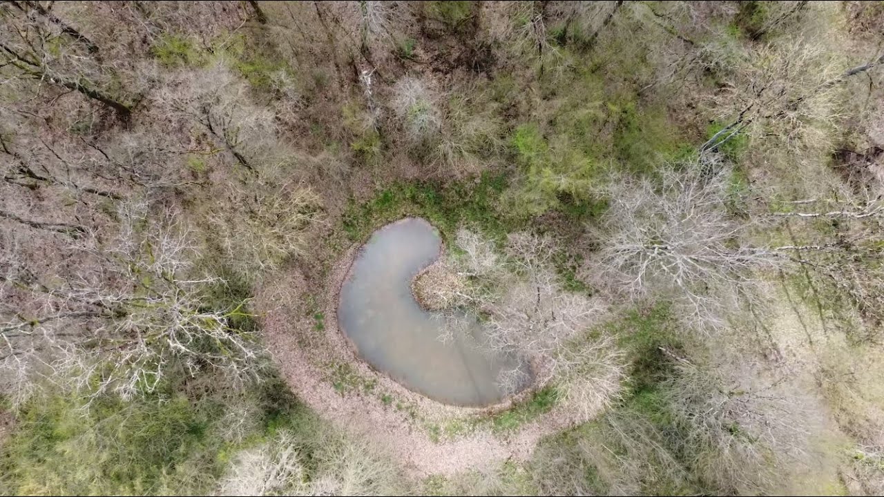Eco-contribution des chasseurs : 2 exemples de projets favorables à la biodiversité dans la Nièvre