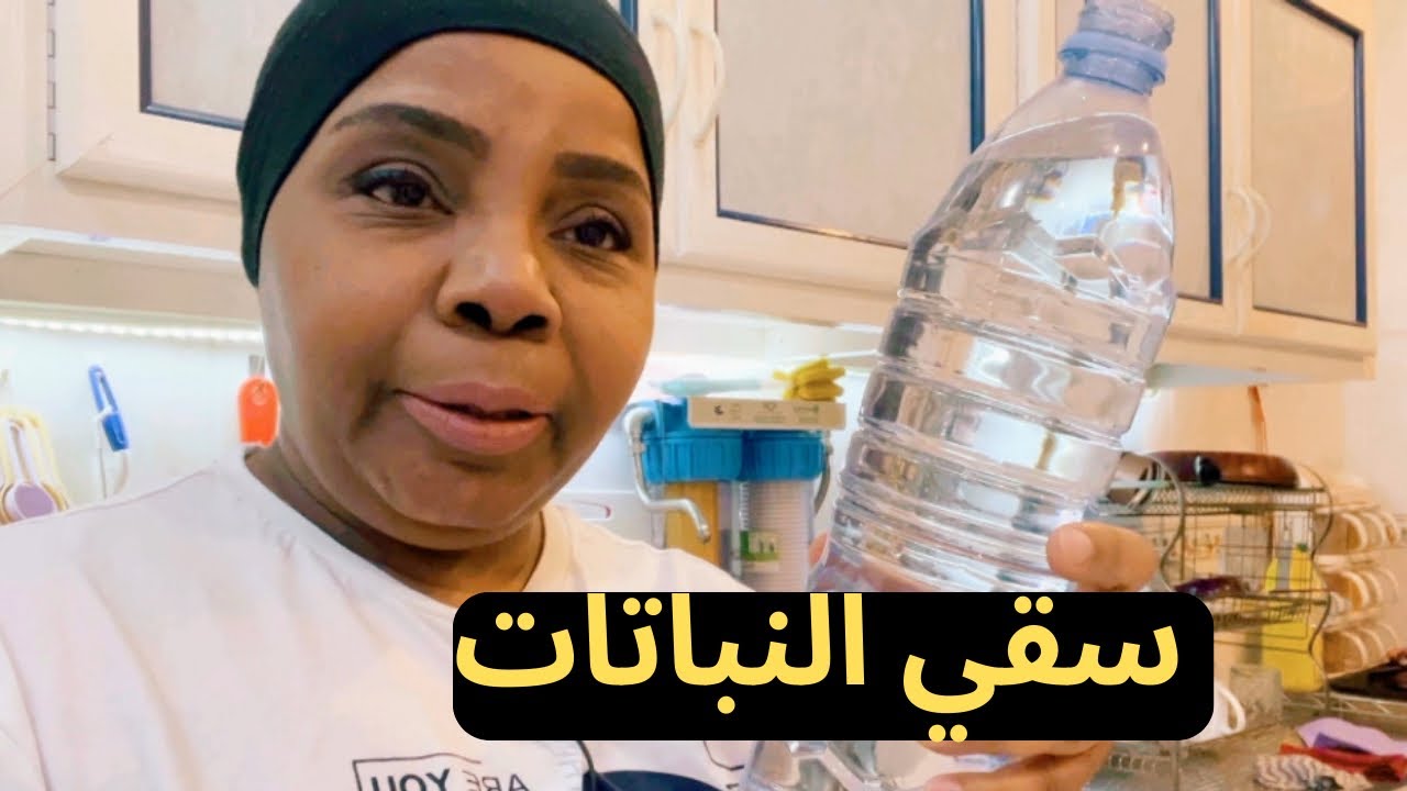 طريقة سقي النباتات المنزلية وموعد المغذي