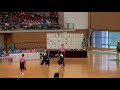2017年 なぎなた個人 清水愛莉vs藤田梨央 2回戦 の動画、YouTube動画。