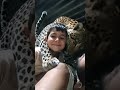 a tiger ai