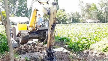 sáng cuốc leo phà lên bờ. xe cuốc di chuyển trên sông 1303 - Thủy Miền Tây