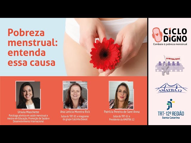 Pobreza menstrual: entenda os impactos sociais e ambientais do sangramento  - Revista Galileu