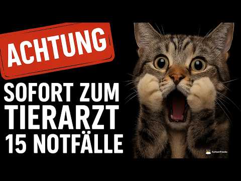 15 Warnzeichen, dass