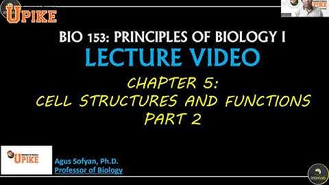 BIO 153: Chapter 5 - Cell Membrane Structures and Functions (Part 2)
