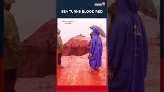 Nature Paints A Dramatic Scene Rain Transforms Hormuz Island Shoreline Into Red Spectacle N18S