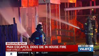 House fire kills 2 dogs in Jackson, man escapes