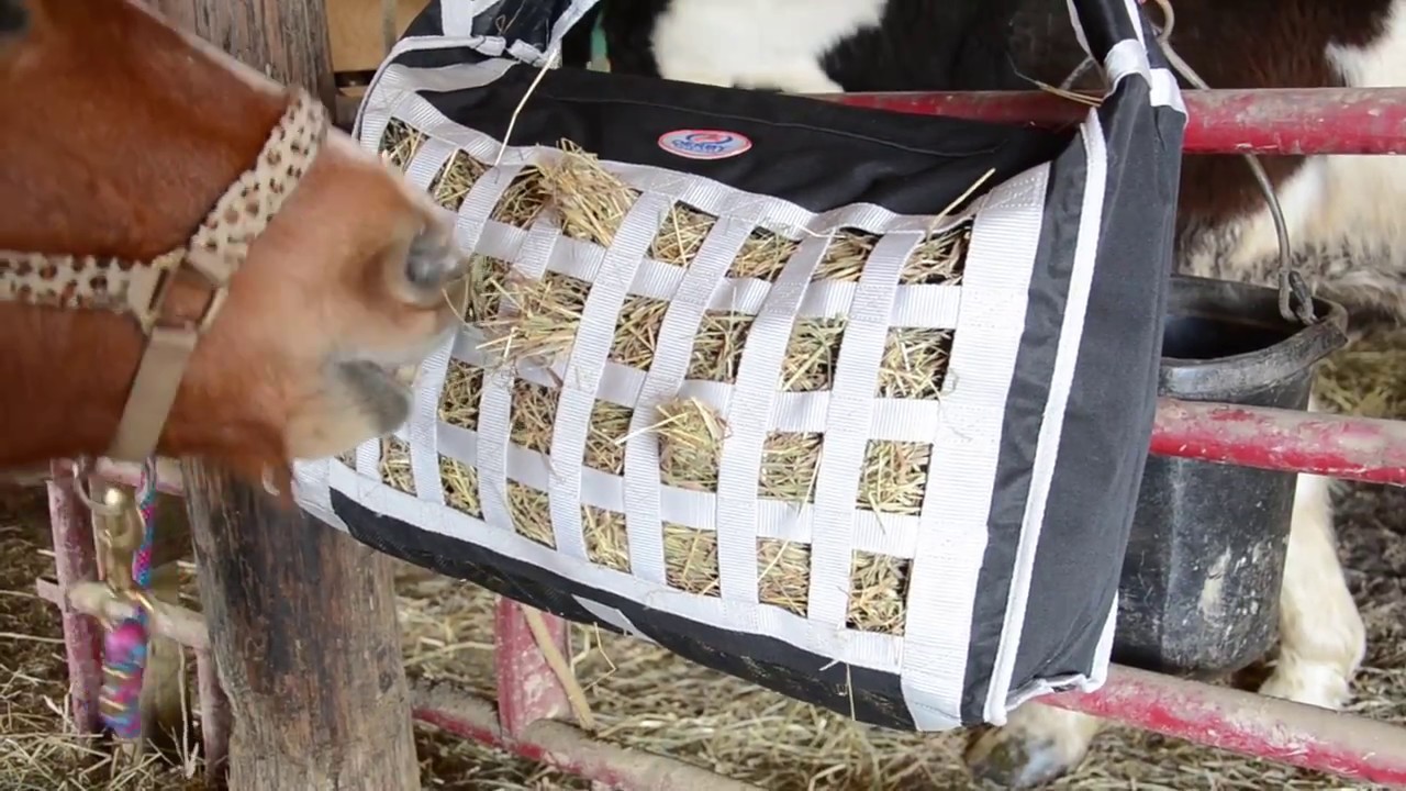 Top Load Hay Bag with Slow Feed Opening by Derby Originals YouTube