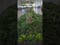 Indra Gandhi International Airport New Delhi India 🇮🇳 #airport #igiairport #india #shots #travel#fyp
