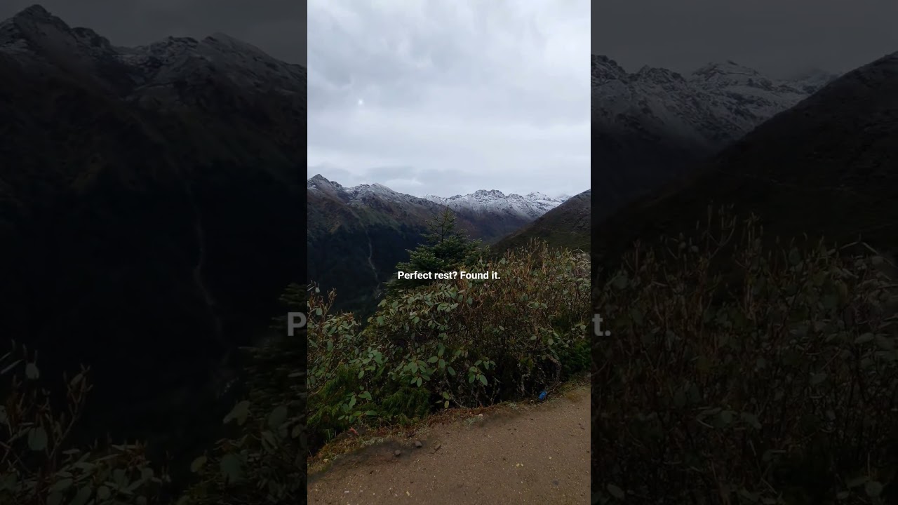 This is what I call "The perfect rest." 