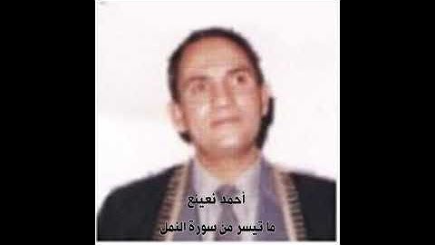 أحمد نعينع - ما تيسر من سورة النمل