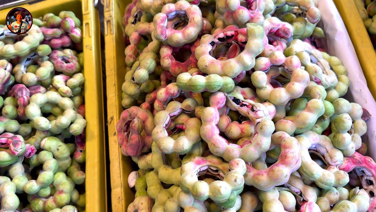 #ตลาดมะขามเทศ#เข้าใหม่ๆทุกวันเนื้อแก่หวานมัน#ตลาดผลไม้ฤดูกาล#ตลาดไท#คลองหลวง#ปทุมธานี#ลุงน้อยchannel