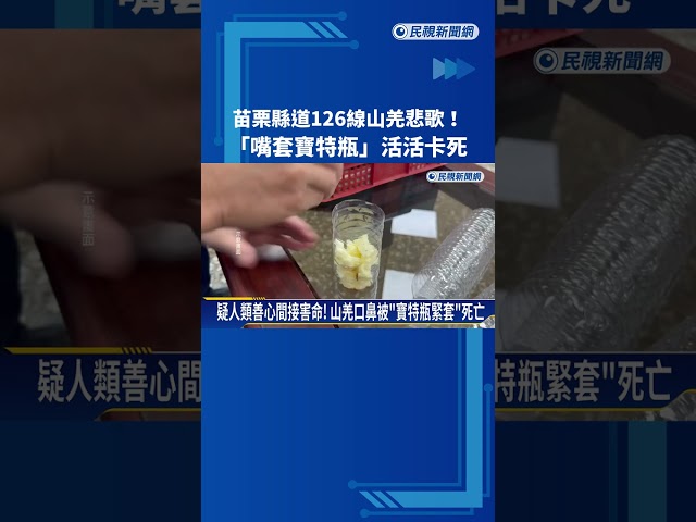 "嘴套寶特瓶"山羌倒臥水溝身亡 苗栗縣府:疑餵食導致悲劇－民視新聞