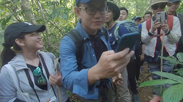 Lá cây làm men rượu cần của người S