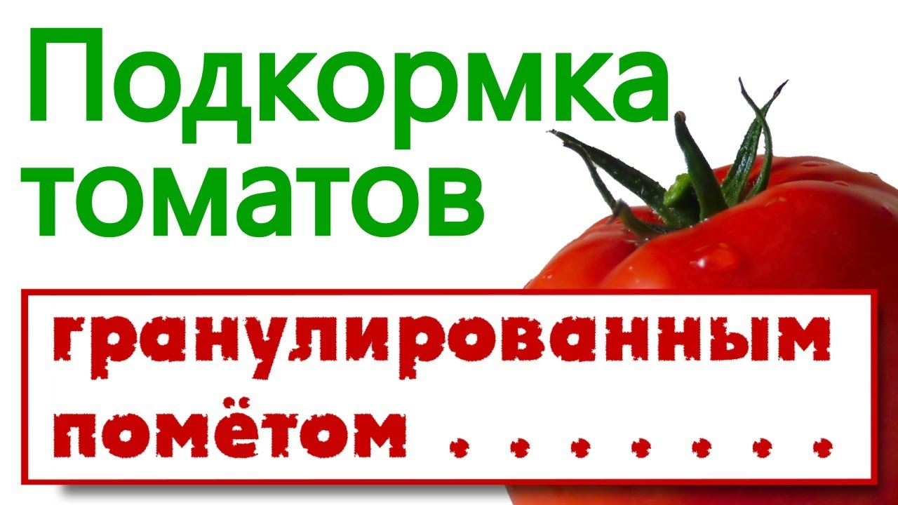 Подкормка томатов гранулированным помётом - YouTube