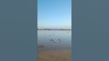 ياأيها الدين آمنوا لا ترفعوا أصواتكم #تلاوة_مغربية_خاشعة #سورة_الحجرات  #راحة_نفسية #القرآن_الكريم