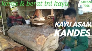 #kayuasam #swmll #palet SUNGGUH KERAS KAYU ASAM KANDES!!pembuatan bahan palet