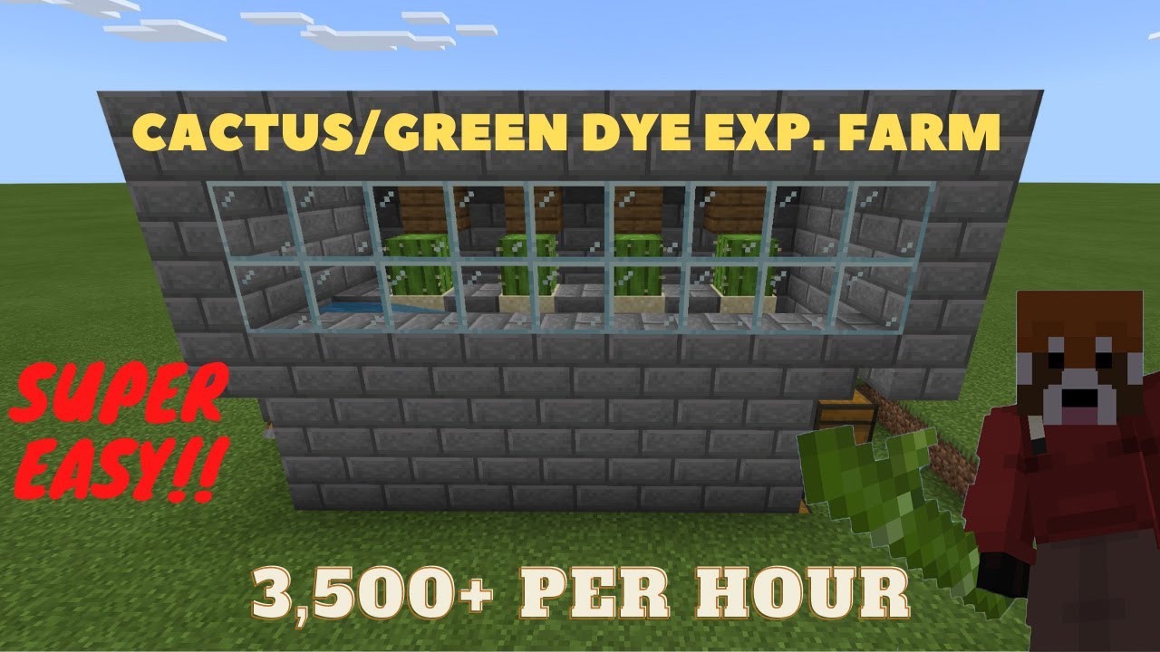 Super Easy Cactus/Green Dye Exp. Farm Minecraft BEDROCK! 1.16 - YouTube