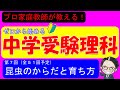 【中学受験理科】昆虫のすごい特徴と育ち方！入試に必要な知識をギューと詰め込みました！【ゼロから始める中学受験理科 第７回】