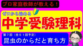 【中学受験理科】昆虫のすごい特徴と育ち方！入試に必要な知識をギューと詰め込みました！【ゼロから始める中学受験理科 第７回】