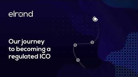 The Elrond Virtual Machine’s