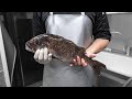 참돔손질부터 회 한접시까지 l Process from Red sea-bream Fillet to making a plate of sashimi l マダイの手入れ