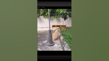 Frigate NVR Upgrade: YOLOv9 in Action! #HomeLab #FrigateNVR #YOLOv9 #ObjectDetection #OpenVINO