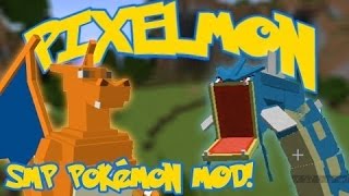 Pixelmon Lid Making screenshot 5