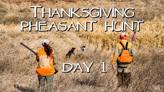 South Dakota Pheasant Hunting 2019  Thanksgiving Week Day 1