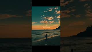 Toquinho e Vinicius - O velho e a flor 🌼
