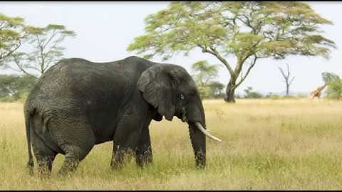 Simple AES Encryption - Cryptography with Python