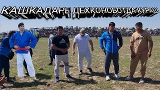 КАШКАДАРЕ ДЕХКОНОБОТДА КУРАШ