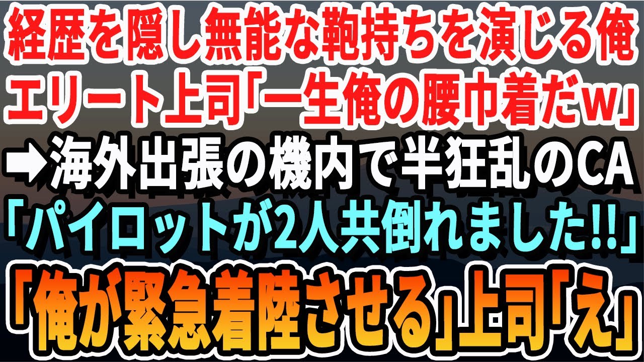 【感動する話】訳があって経歴を隠して俺は無能な鞄持ちを演じていた。後日、海外での商談に向かう途中にパイロットが2人倒れる大ピンチ！俺「俺が操縦しますので！」「え？」→結果ｗ【いい話・泣ける話・朗読】