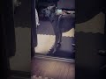 虐待された犬アッチャンの壮絶なトラウマ。小さな幸せ#shorts