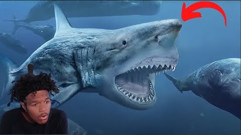 REACTING TO Top 10 Deep Sea Discoveries That Prove The Megalodon Existed