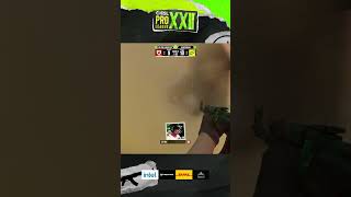 So Close To The Ace Spinx Gets 4