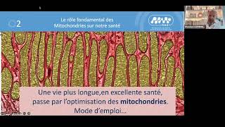 PIMO - La Mitochondrie : gestionnaire clé de notre santé et notre bien-être
