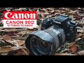 10 Things to Know About the Canon 90D DSLR Camera