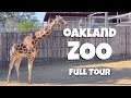 Oakland zoo animals  full walking tour 4k