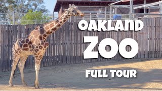 Oakland Zoo animals  Full Walking Tour [4K]