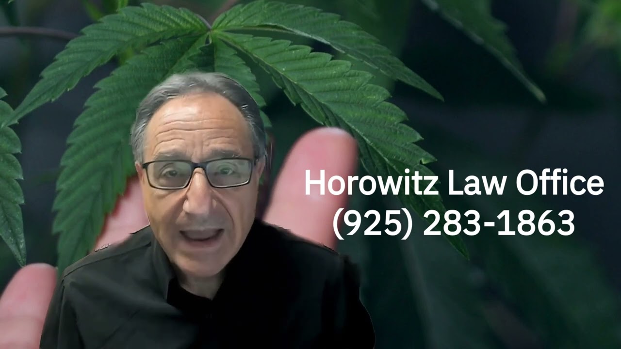 Marijuana Prescribing for Doctors