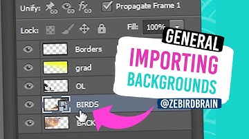 IMPORT - IMPORT PSDs (Harmony)