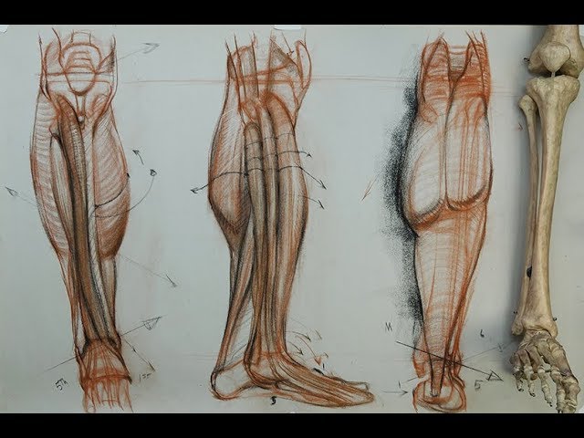 How to Draw Legs  JeyRam Spiritual Art